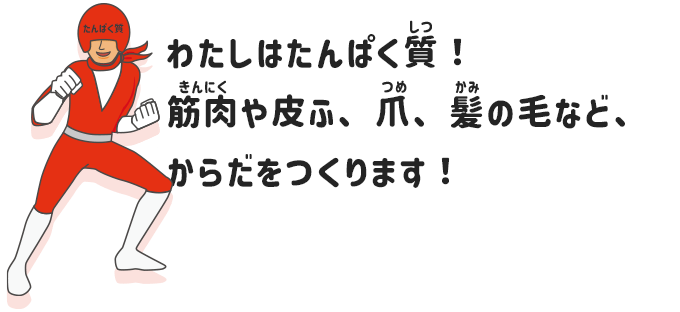 たんぱく質