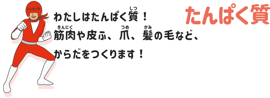 たんぱく質