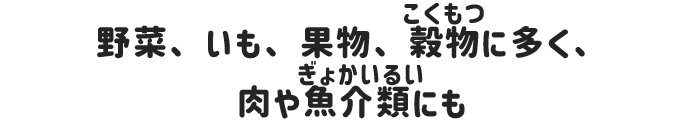 野菜、いも、果物、穀物に多く、肉や魚介類にも