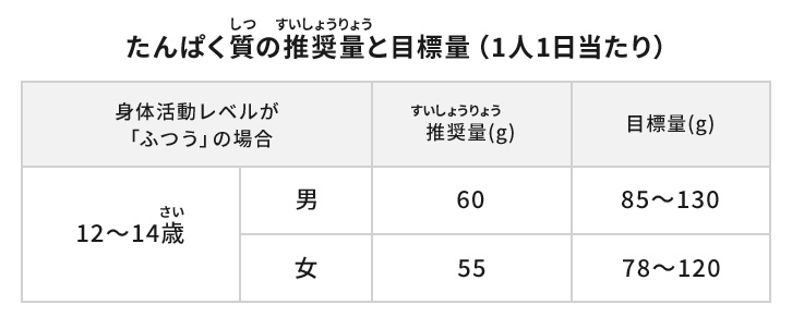 たんぱく質の推奨量と目標量(1人1日当たり)