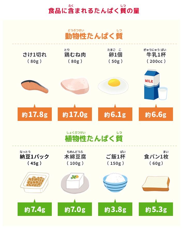 食品に含まれるたんぱく質の量