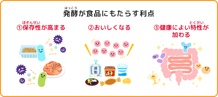 発酵が食品にもたらす利点