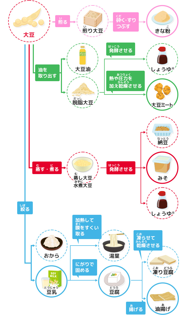 大豆の大変身を見てみよう！クイズに挑戦