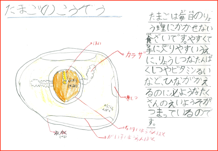 キユーピーの自由研究 食生活アカデミー キユーピー