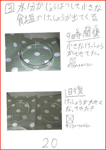塩の研究賞画像21
