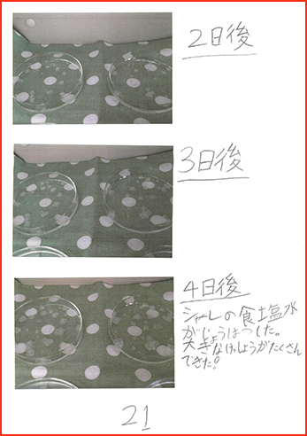 塩の研究賞画像22