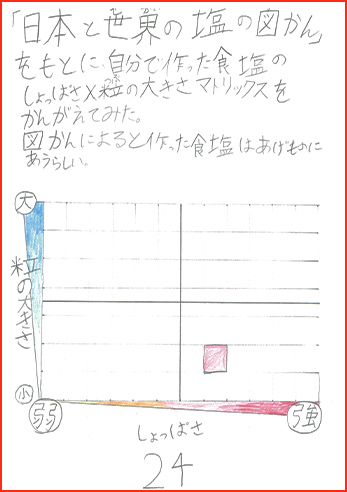 塩の研究賞画像25