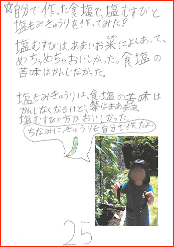 塩の研究賞画像26