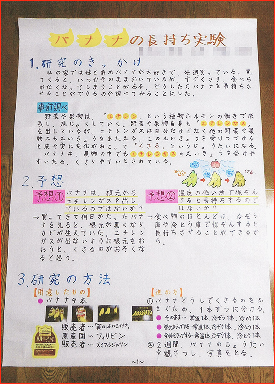 バナナの実験賞画像1