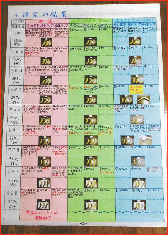 バナナの実験賞画像2