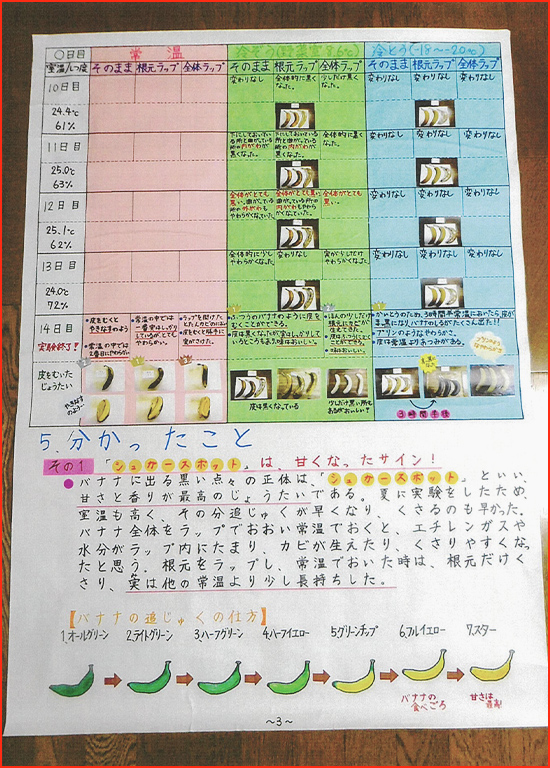 バナナの実験賞画像3