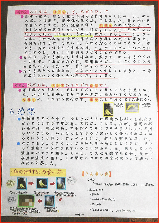 バナナの実験賞画像4