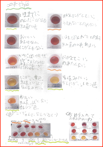 紅茶博士賞画像7