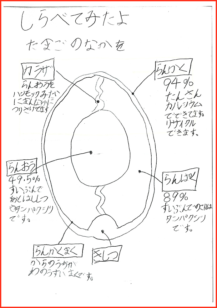 卵料理賞40