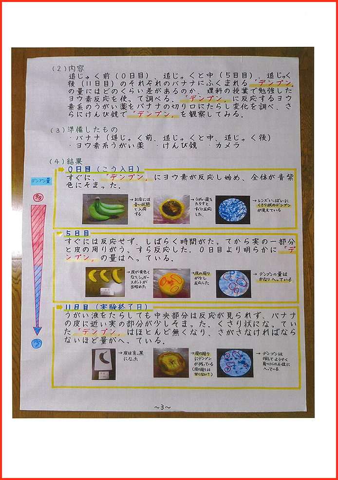 バナナの実験賞03