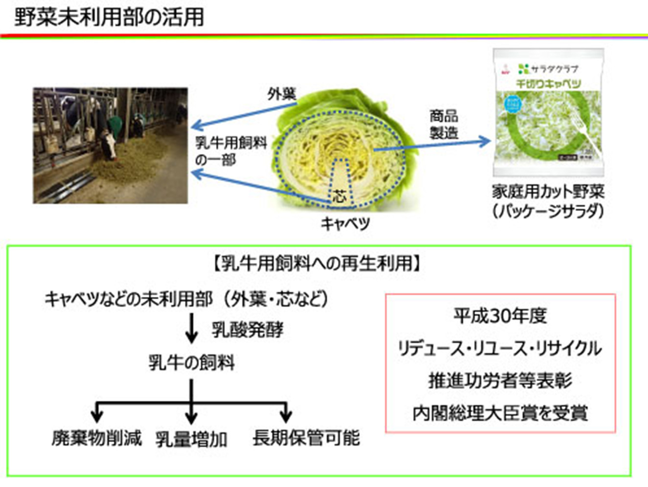 野菜未利用部の活用