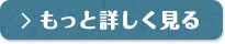 もっと詳しく見る