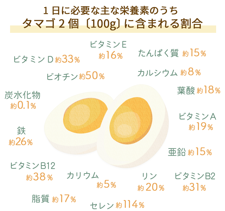 卵でおいしく健康 食育活動 キユーピー