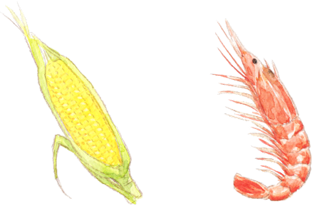 知って得する卵の豆知識 食育活動 キユーピー 知って得する卵の豆知識 食育活動 キユーピー