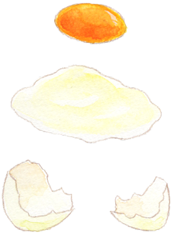 知って得する卵の豆知識 食育活動 キユーピー 知って得する卵の豆知識 食育活動 キユーピー