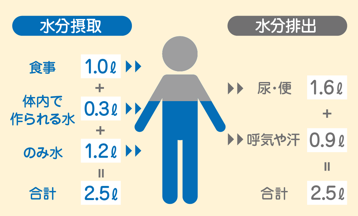 体 水分 量 増やす