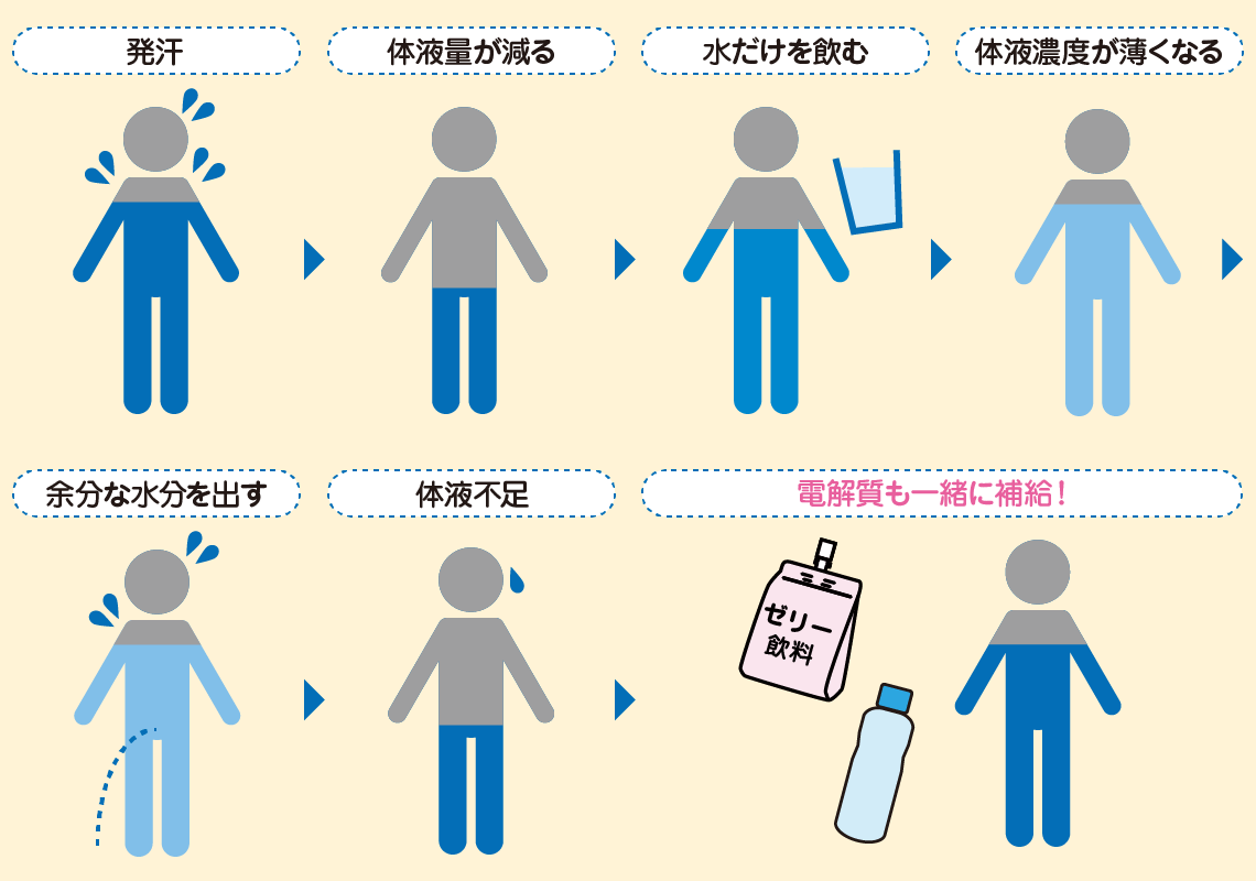 水分だけとっても脱水予防にならない 食育活動 キユーピー