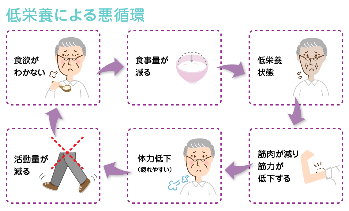 低栄養ってどんな状態 どうして起こるの 食育活動 キユーピー