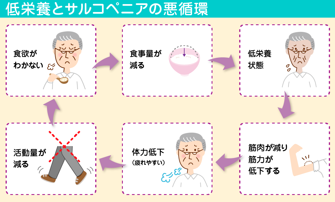 低栄養が進むとどうなるの 食育活動 キユーピー