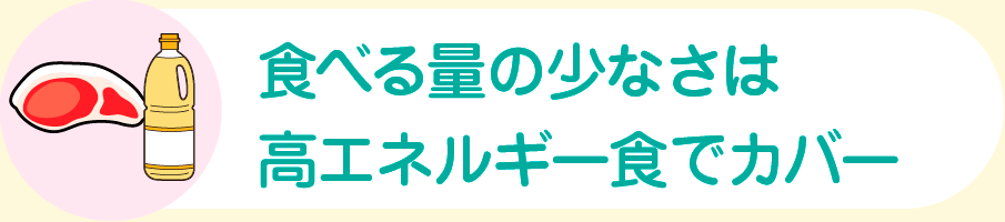 食べる量の少なさは高エネルギー食でカバー