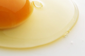 About Egg White Ingredients (Egg white peptide)