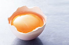 About Egg Yolk Lecithin