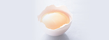 About Egg Yolk Lecithin