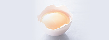 About Egg Yolk Ingredients（ Egg Yolk Lecithin）