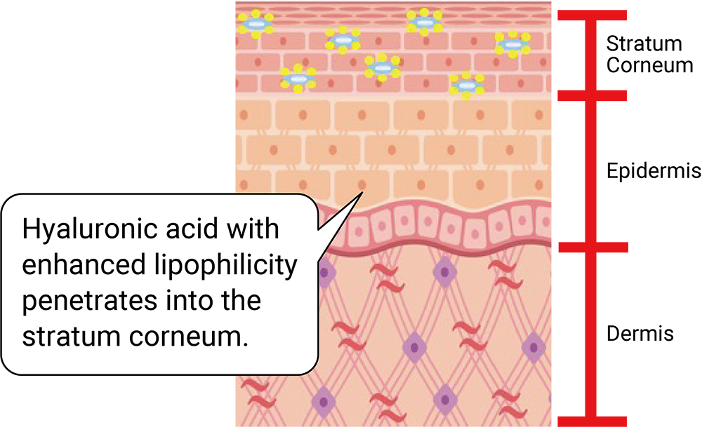 Hyalorepair