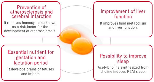 Prevention of atherosclerosis and cerebral infarction It removes homocysteine known as a risk factor for the development of atherosclerosis. Improvement of liver function It improves lipid metabolism and liver function. Essential nutrient for gestation and lactation period It develops brains of fetuses and infants. Possibility to improve sleep Acetylcholine synthesized from choline induces REM sleep.