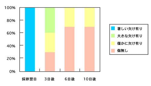 図３　剥いた卵の状態