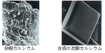 卵殻カルシウム/合成の炭酸カルシウム