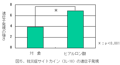 図5．抗炎症サイトカイン（IL-10）の遺伝子発現