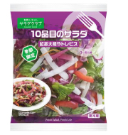 10品目のサラダ 紅芯大根やトレビス