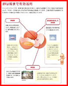 卵殻の有効活用