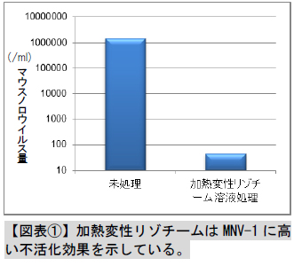 【図表1】加熱変性リゾチームはMNV-1に高い不活化効果を示している。