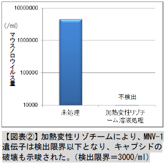 【図表2】加熱変性リゾチームにより、MNV-1遺伝子は検出限界以下となり、キャプシドの破壊も示唆された。（検出限界＝3000/ml)