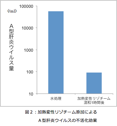 加熱変性卵白リゾチームの抗ウイルス効果の研究成果発表"新型ヒトノロウイルス"で効果を確認 あわせて、A型肝炎ウイルスの不活化も確認